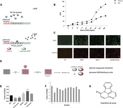 Canthin-6-One Accelerates Alpha-Synuclein Degradation by Enhancing UPS Activity: Drug Target Identification by CRISPR-Cas9 Whole Genome-Wide Screening Technology